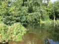 /album/my-local-birding-gallery/the-castle-moat-at-thornhill-rectory-park-soon-to-be-dug-out-and-cleaned-for-the-first-time-since-1765-jpg/